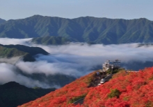 疾速追杀外传芭蕾杀姬_疾速追杀:芭蕾杀姬 安娜·德·阿玛斯 基努·里维斯